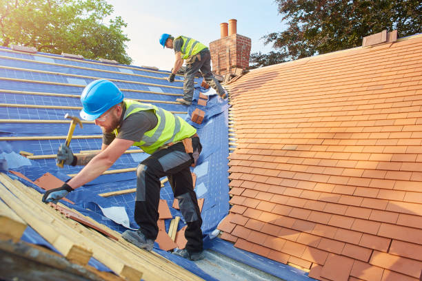 Best Chimney Flashing Repair  in Skyline, AL